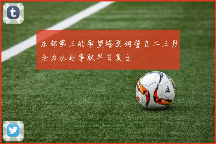 东部第三的希望塔图姆誓言二三月全力以赴争取早日复出