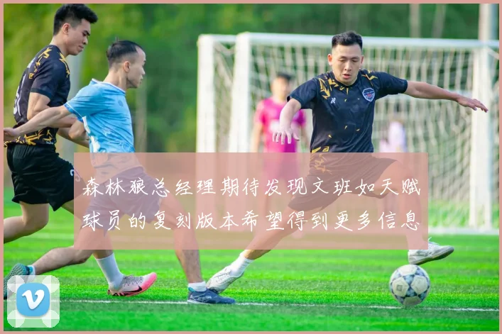 森林狼总经理期待发现文班如天赋球员的复刻版本希望得到更多信息