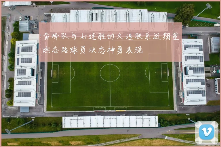黄蜂队与七连胜的久违联系近期重燃各路球员状态神勇表现