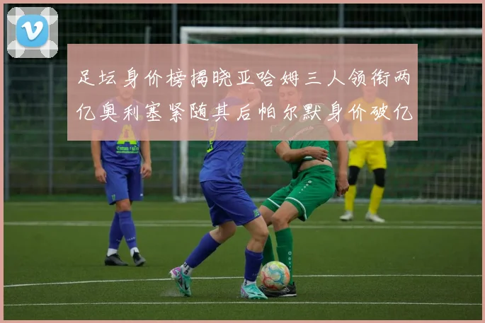 足坛身价榜揭晓亚哈姆三人领衔两亿奥利塞紧随其后帕尔默身价破亿